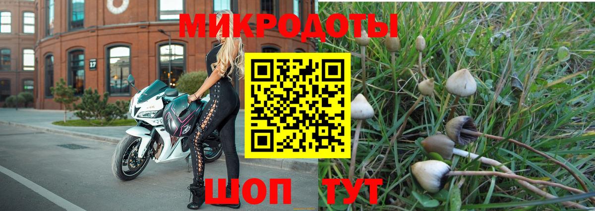 Галлюциногенные грибы MAGIC MUSHROOMS  Вход с VPN  Электросталь 
